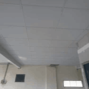 Knauff Danoline (2400 x 4800) Board Black